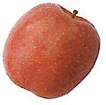 Apple_2